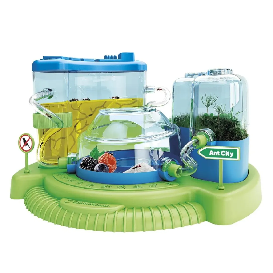 Ciencia y juego - La ciudad de las hormigas