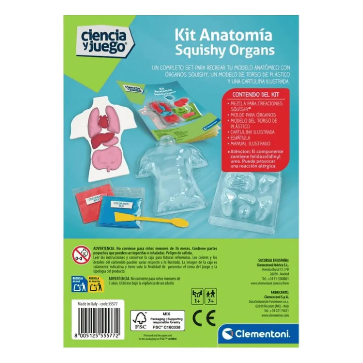 Clementoni - Kit Anatomía Squishy Organs