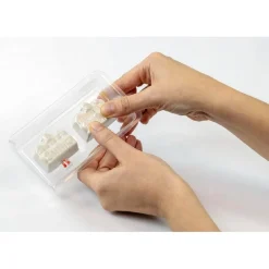 Clementoni - Stranger Things - Terrario The Upside Down