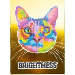 Diamantiny Level Up - Gato