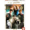 Educa Borras - Harry Potter - Puzzle de 500 Piezas ㅤ