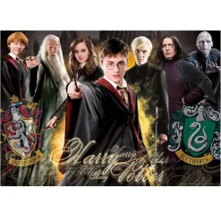 Educa Borrás - Puzzle 1000 piezas Harry Potter