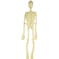 Guirnaldas decorativas para fiestas y eventos ㅤ