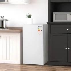 Homcom - Mini Nevera Blanca con Congelador 91L