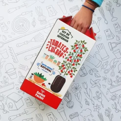 Kit de cultivo de tomate Cherry orgánico para interior