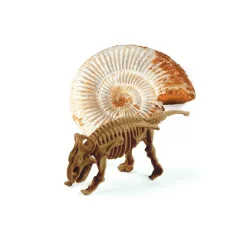 Miniset Kit de paleontología