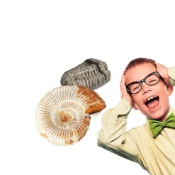 Miniset Kit de paleontología