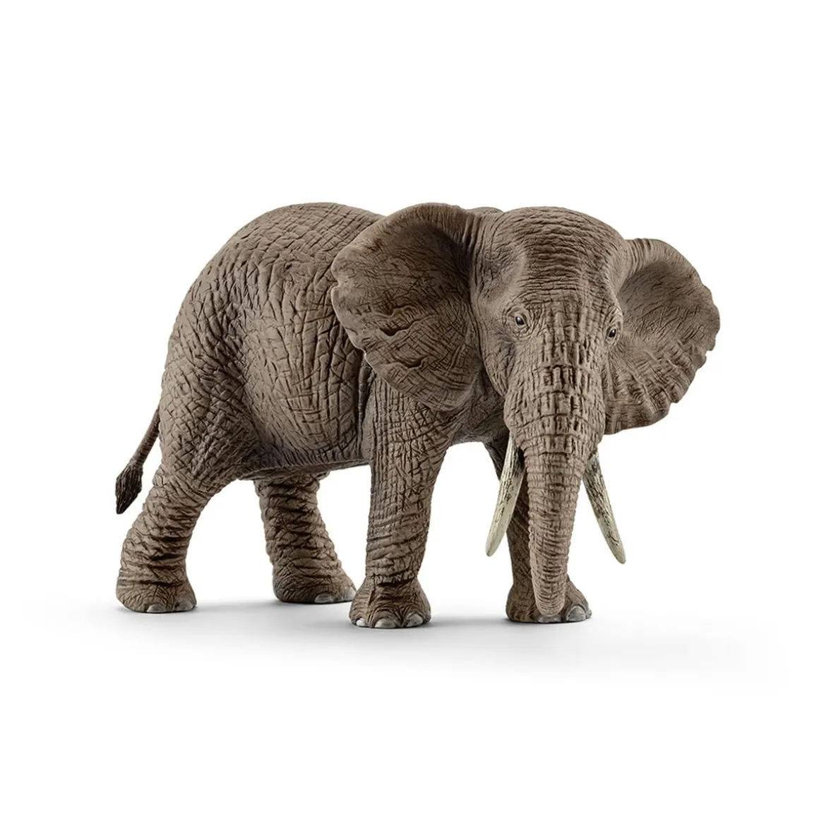 Schleich - Elefante Africano Hembra