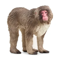 Schleich - Macaco japonés